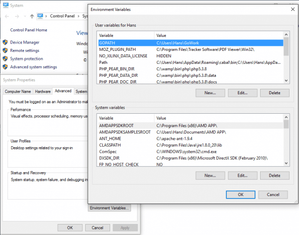Set GOPATH Env Var